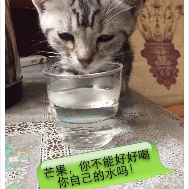 本科毕业证的照片丢了